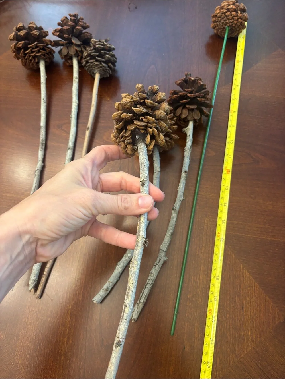 Natural Pinecone Stem Accents - Brown